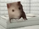 CrazyIWasCrazyOnceTheyPutMeInARoomARubberroomARubberroomFilledWithRatsRatsMakeMeGoCrazy emote