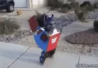 trans emote