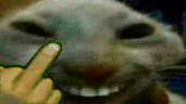xddFinger emote