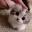 Emote