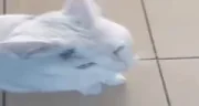 KILL emote
