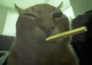 buhblunt emote