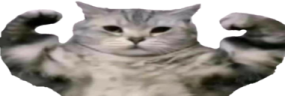 muscle emote