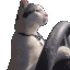 CatDriving