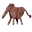 Plötze