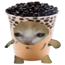 bobacat