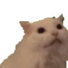 MYAAWait emote