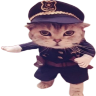 catCop emote