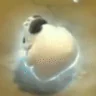 porreo emote