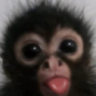 owu emote