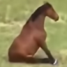 cat emote
