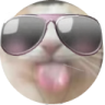 SILLYBALL emote