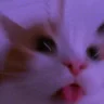 sillyRave emote