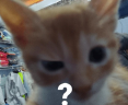 ?? emote