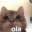 ola
