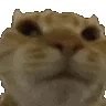 NONO emote