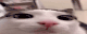 framerate