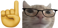 nerdCat emote
