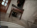 tapok emote