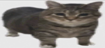 kotik emote