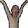 OHMYFUCKINGGOD emote