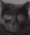 BillStare