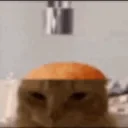 seventv_01H41Z039R0007EVV2REH5R5HC