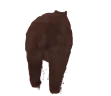 bearSpin emote