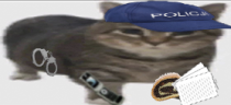 donosik emote
