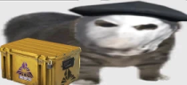 csik emote