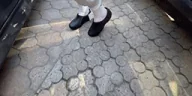 nefor emote