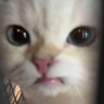 yuck emote