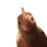 Tasty emote