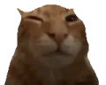 buh emote