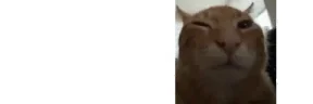 edgebuhg emote