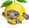 lemoncatrun