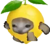 lemoncatrun emote