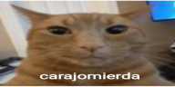carajomierda emote