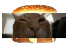 buhgir emote