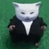 catWalk emote