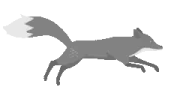 foxrun2 emote