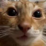 euh emote
