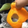 Orange emote