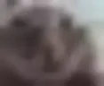 Bitratemuh emote