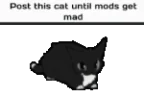 PostThisCatUntilModsGetMad emote