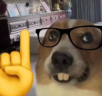 dehecho emote