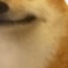 SmileDog4 emote