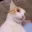 QueCojonesMiau