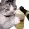 catChug