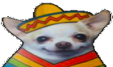 Amigo emote